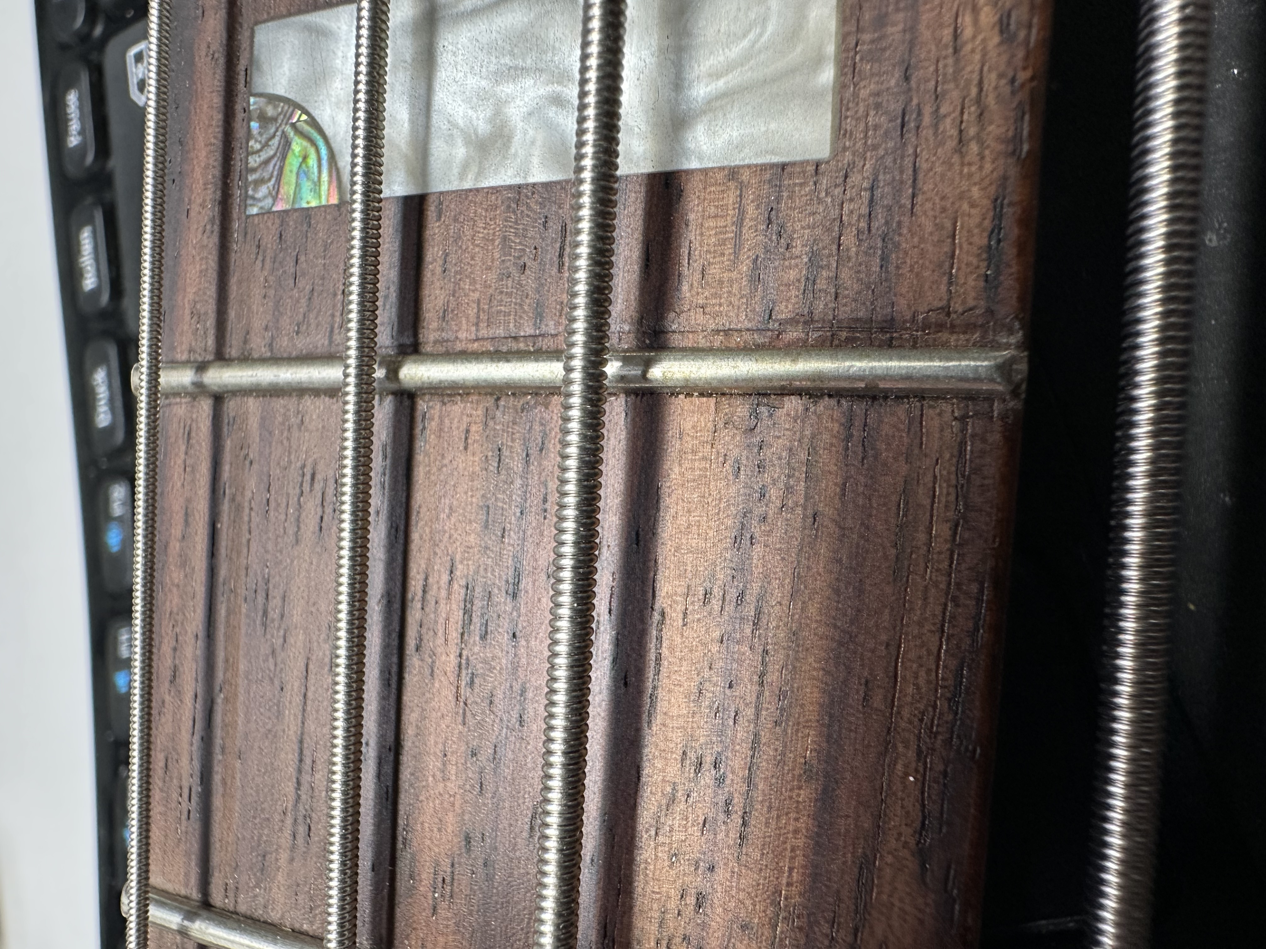 Skyline 44-64 Custom PJ Black  Tortoise PG (B-Stock)